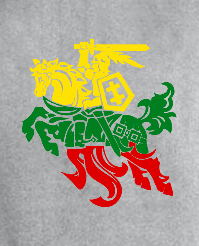 Džemperis Spalvotas Vytis